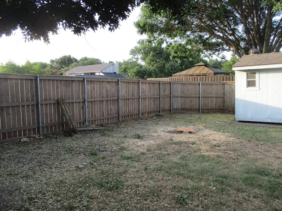 Cleared yard after professional tree removal in Coeburn