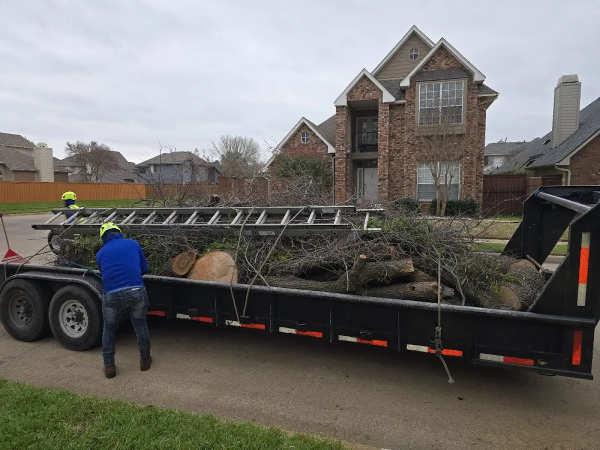 Expert Tree Pest Control with proper safety equipment in Coeburn